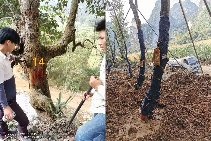 腾博会官网 - 诚信为本,专业服务!