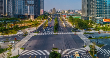 精品线路沿线风貌刷新提升工程（五象大路）项目